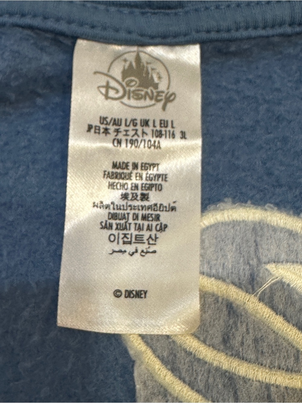 Disney Parks Walt Disney World Blue Full Zip Hoodie Adult Large - Picture 10 of 11